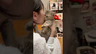 Download lagu Cats funs for cats fans 😸 ep 137! - The best show about cats! mp3