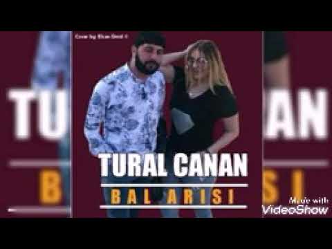 Tural Sədalı FT Canan Bal arısı 2019  yeni