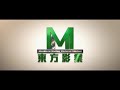 IP Man 4 The Final