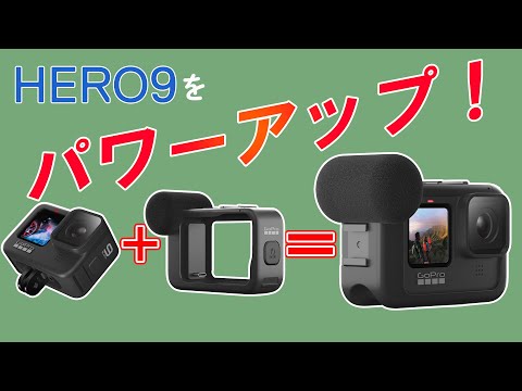 GoPro メディアモジュラー for HERO10 Black ADFMD-001 GoPro