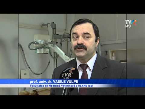 Jurnalul Regional TVR Iaşi - Imagistică medicală pentru animale de companie