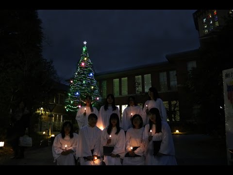 【同志社女子大学】2016年 ツリー点灯式（今出川キャンパス）