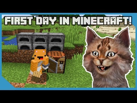 My First Day In Minecraft