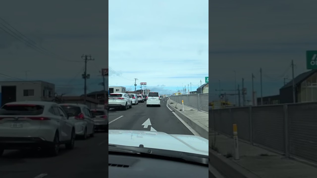 ライブ ハイライト