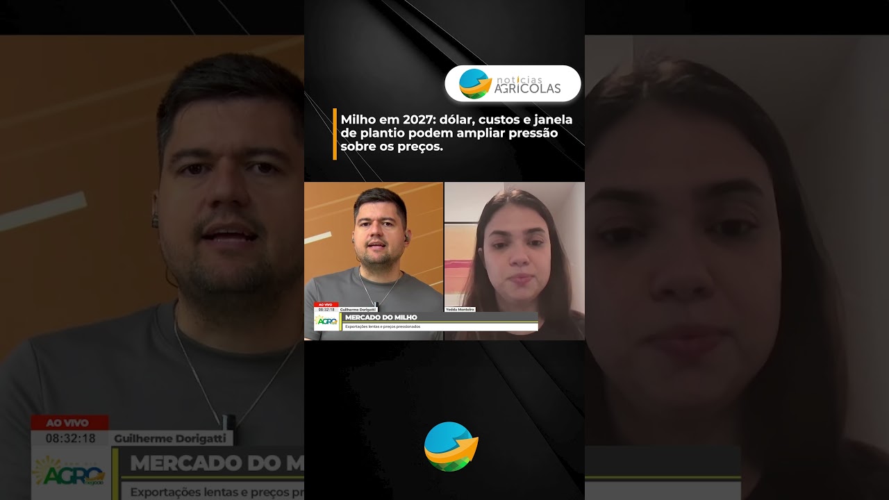Milho em 2027: dólar, custos e janela de plantio podem ampliar pressão sobre os preços.