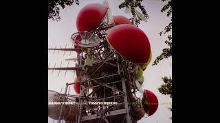 Kadah Vresky Presents Tomato Weirdo - Best Before End + Toujours Comestible
