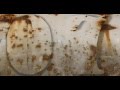 10 Sec Rust Countdown Timer V 215 Clock With Sound Effects HD