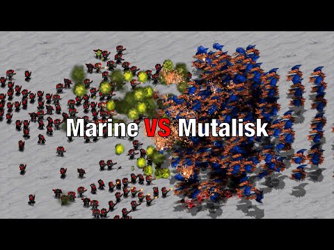 Can 250 Marines beat 200 Mutalisks?
