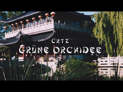 Video thumbnail for Grüne Orchidee