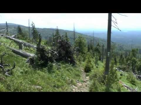 Rachelwanderung 16 06 2013