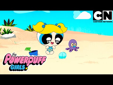 Los Tibuhermanos se adueñan de la playa | Las Chicas Superpoderosas | Cartoon Network