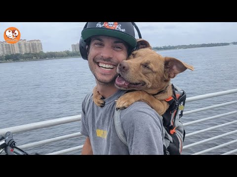 Former Caged Dog’s First Moments of Freedom Will Break Your Heart