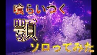 「エルデンリングナイトレイン」　トロコン記念にソロ攻略した！！「喰らいつく顎」