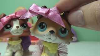 Littlest Pet Shop: Oregon Vlog #9 "Buh Bye Oregon"