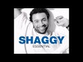 Shaggy feat. Rayvon - In The Summertime (BIGR Extended Mix)