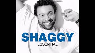 Shaggy feat. Rayvon - In The Summertime (BIGR Extended Mix)