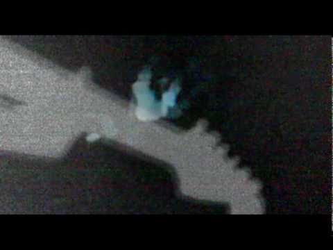Hedonism - The Underground Youth