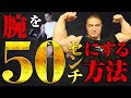 【腕トレ】たった1回でプラス2㎝!?50㎝の腕をつくるための最強プログラム【筋トレ】