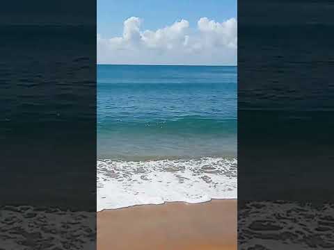 #nature #ceylon #travel #beach