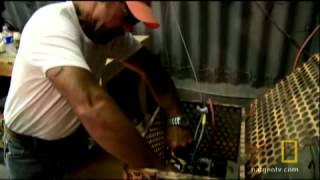 National Geographic Explorer "24 Hours After Impact: Asteroid"