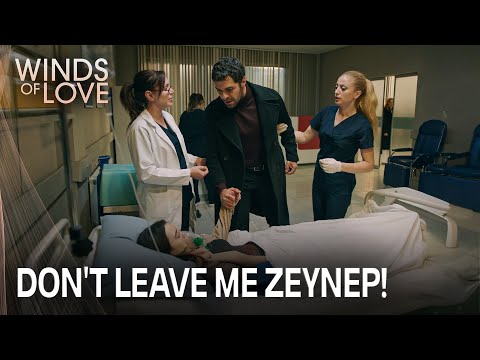 Halil'in müdahalesi Zeynep'i kurtardı | Rüzgarlı Tepe 180. Bölüm
