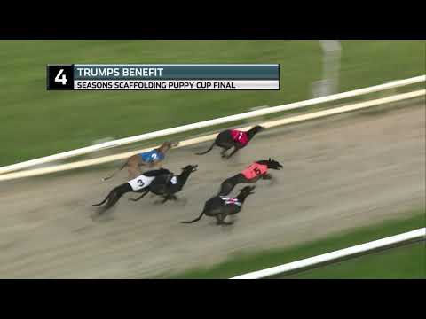 2021 PUPPY CUP FINAL - T4 TRUMPS BENEFIT