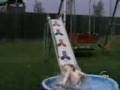 Fall Videos Americas Funniest Home Videos