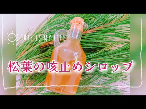 オニオンジュースを作る:咳止めシロップを自分で作る方法です 植物