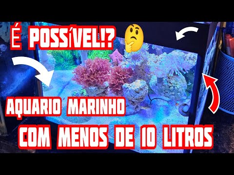 Small Marine Aquarium | Only 8 liters of water! Beautiful corals | Sealife Store