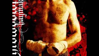 Throwdown - Hopeless