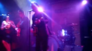 Tav Falco - Jungle Fever - Edinburgh 2015