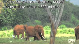 Bernie Krause graba el sonido de la naturaleza