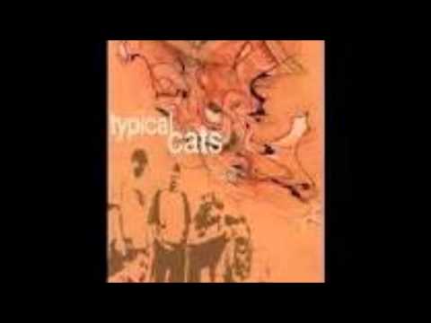Typical Cats- The Manhattan Project