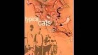 Typical Cats- The Manhattan Project