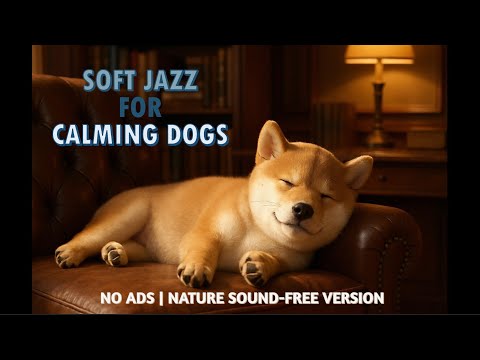 No Ads | 6-Hour Soft Jazz for Dogs 🐶🎵 | Effective for Calming Anxious or Stressed Dogs
