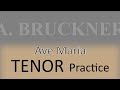 Bruckner WAB 6 (Ave Maria) - Tenor 1 practice