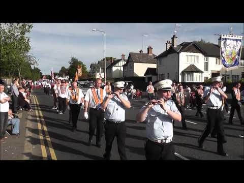 Orange Order Celebrations Belfast July 12 th 2012 The End