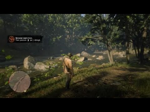 Red Dead Redemption 2 MISSIONE "SOLO UNA VISITA DI CORTESIA" 18+ (no editing) EP11