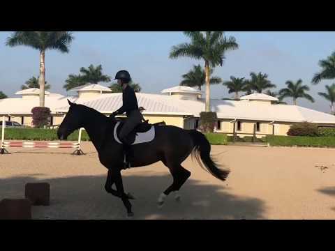 The Madden Method - (Another) Lesson with Beezie, focused on seat and hip angle