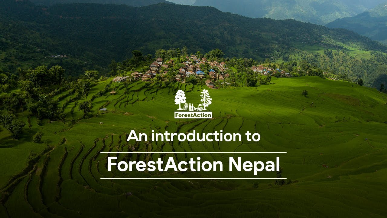 An introduction to ForestAction Nepal