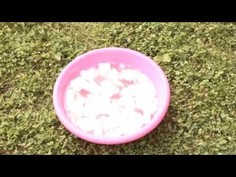 [ LP ] ALS Ice Bucket Challenge