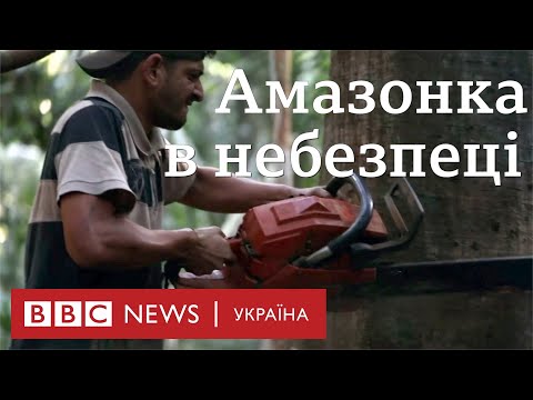 Ліси Амазонки більше не легені планети 0