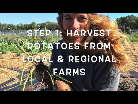 download lagu mp3 mp4 Farm To Table Steps, download lagu Farm To Table Steps gratis, unduh video klip Farm To Table Steps