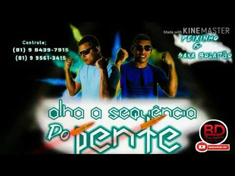 PEIXINHO SAKA BOLADÃO - OLHA A SEQUÊNCIA SO PENTE