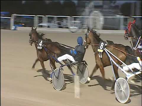 Trotto 03/01/2020 - 6ª corsa