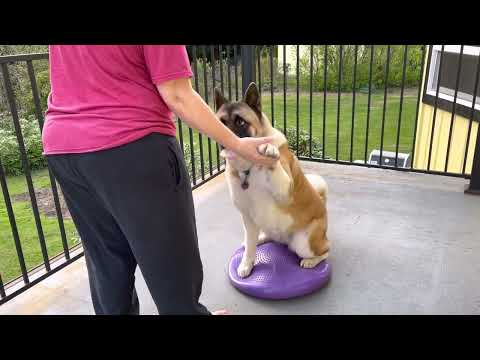 Hadassah-High five on large balance disk