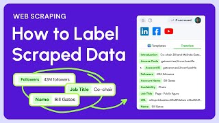 How to Label Info Placeholders on Magical | Magical Transfers Tutorial
