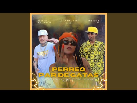 PERREO PAR DE GATAS