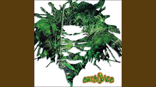 Witch Doctor
