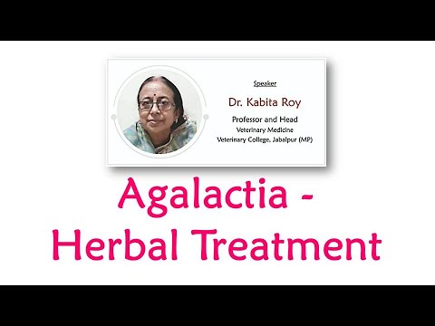 Agalactia - Herbal treatment  #Sheepfarming  #Goatfarming #Sathyazerograzing #Decreasedmilk